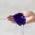 Шампунь для нейтрализации желтизны Biolage Purple Шампунь для нейтрализации желтизны Biolage Purple