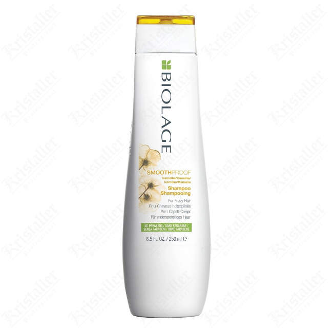 Шампунь для непослушных, вьющихся волос Matrix Biolage Smooth Proof
